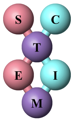 STEM / CTIM